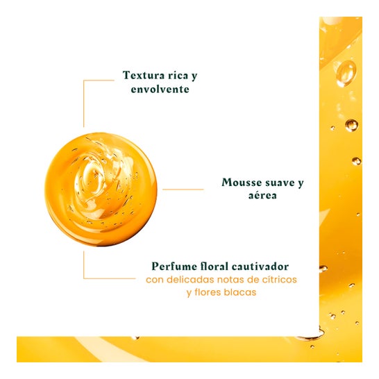 René Furterer Karité Nutri Champú Nutrición Intensa 150 ml