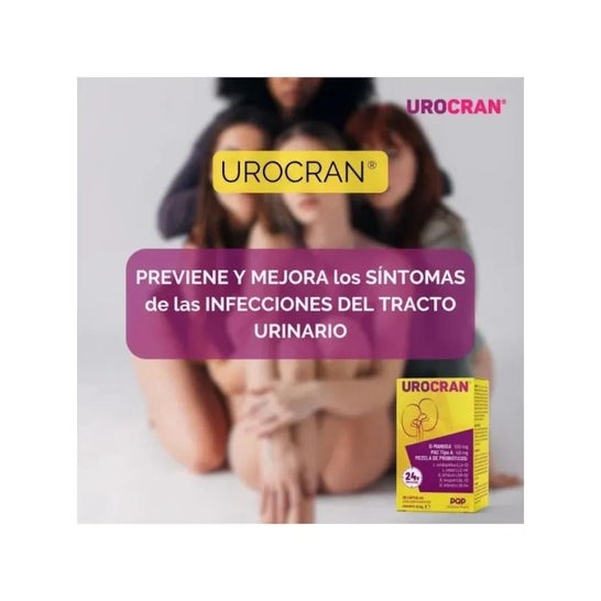 Urocran Amerikaanse cranberry en probiotische 30 caps Urocran Amerikaanse cranberry en probiotische 30 caps