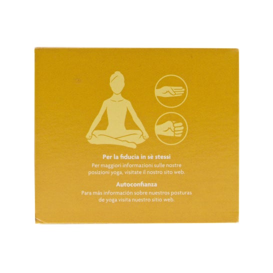 Yogi Tea Zenzero & Limone 17 bustine