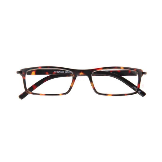 Acorvision Gewinner Brille Havanna +1,00 1Stück