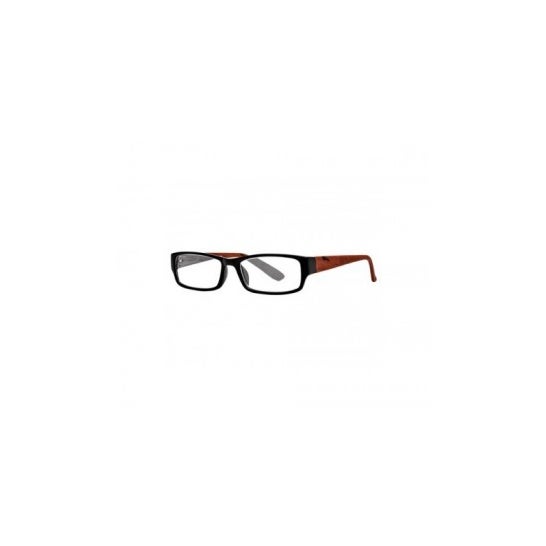 Nordic Vision modelo Koping color negro y marrón dioptrías +2,50 1 ud