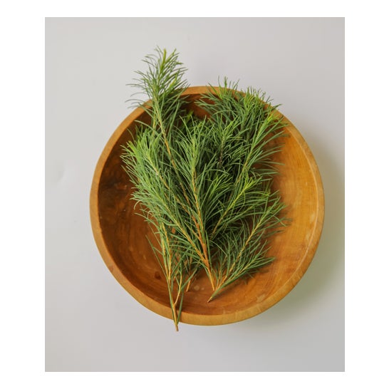 Aromatica Espuma Limpiadora Árbol de Té 180 g