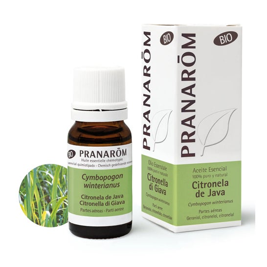 Pranarôm Aceite Esencial de Citronela de Java BIO 10ml