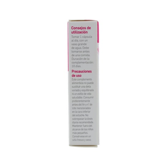 Lactibiane Referencia 10 caps