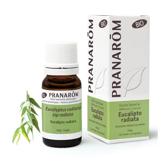 Pranarôm Aceite Esencial de Eucalipto Radiata BIO 10ml
