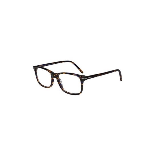 Horizane Cool Cc056 Gafas D +1.50 1ud