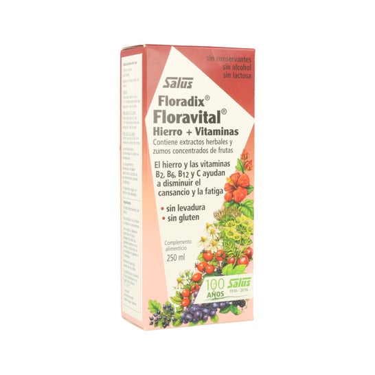 Floradix® Floravital® Iron+Vitamins 250ml