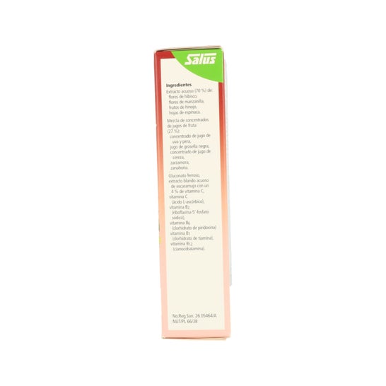 Floradix® Floravital® Iron+Vitamins 250ml