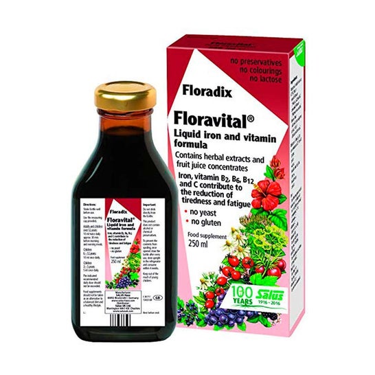 Floradix Floravital Ferro + Vitamine 250ml