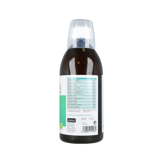 Vitalart Depurativo Bio-Detox Eco 500ml