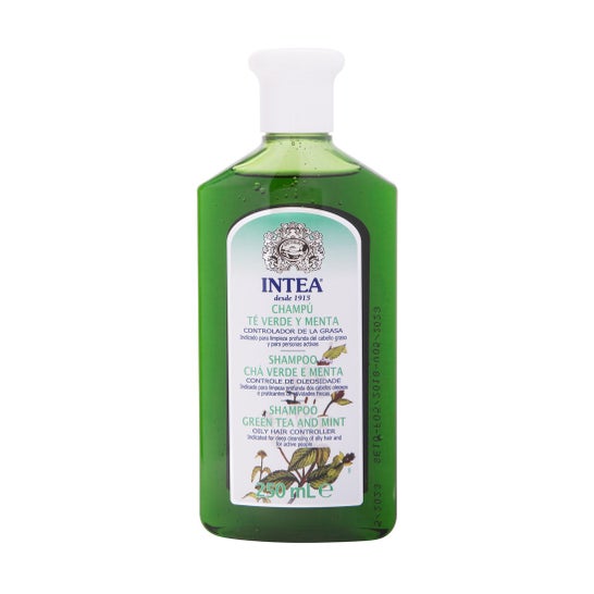 Intea Grüner Tee & Minze Shampoo fettiges Haar 250ml
