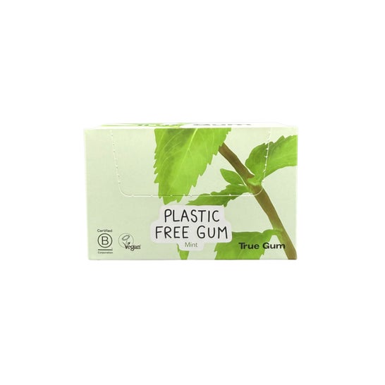 True Gum Sugar-Free Mint Chewing Gum 24x21 g