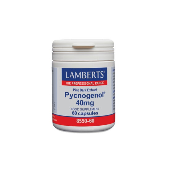 Lamberts Pycnogenol 40 Mg 60 Cap