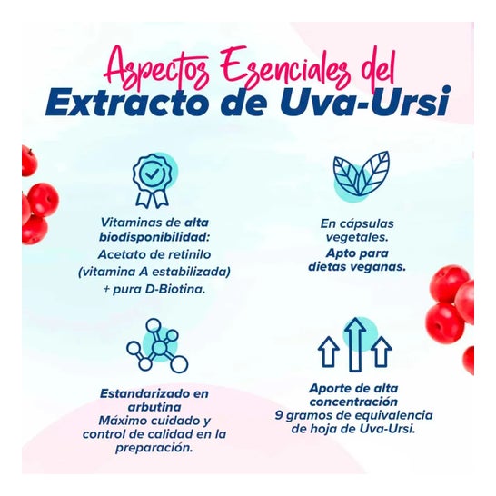 HSN Extracto de Uva Ursi 6:1 500 mg 120 vcaps