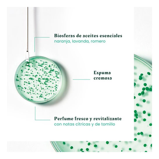 René Furterer Forticea Champú Fortalecedor y Revitalizante 600 ml