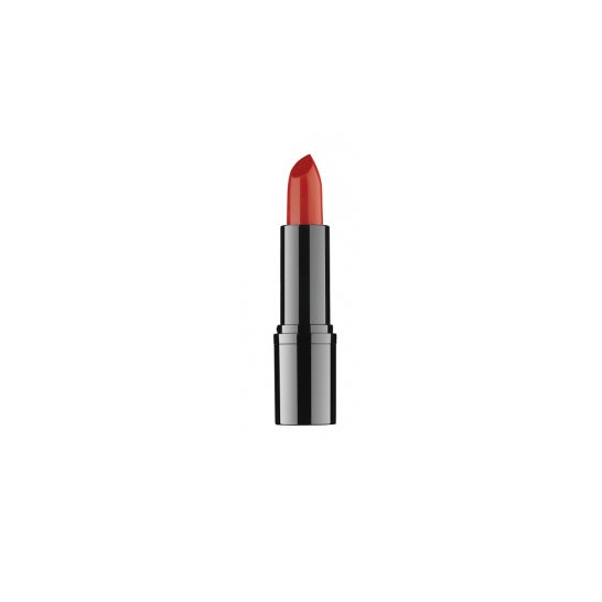 Ddp Rossetto Professionale 12