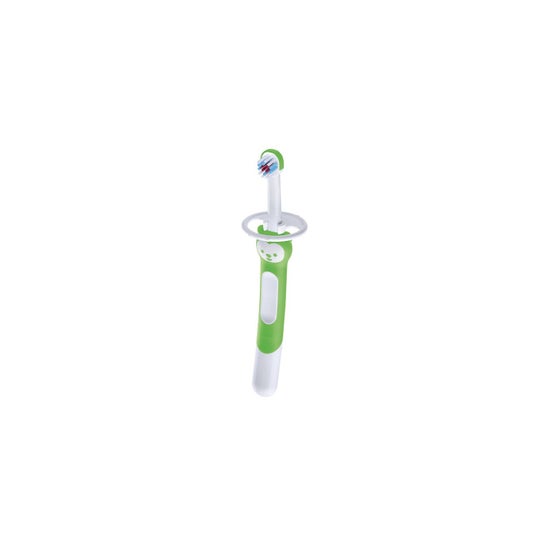 Mam Baby Cepillo Dental Infantil Aprendizaje Training Brush 5+M Verde 1Ud