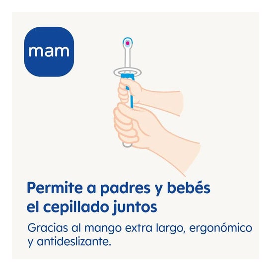 Mam Baby Cepillo Dental Infantil Aprendizaje Training Brush 5+M Verde 1Ud Mam Baby Cepillo Dental Infantil Aprendizaje Training Brush 5+M Verde 1Ud