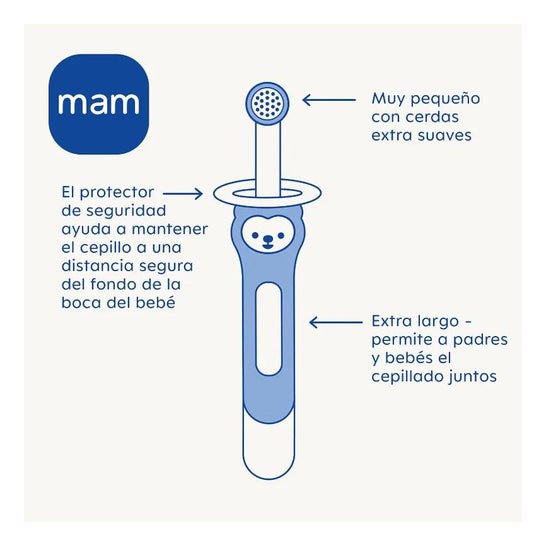 Mam Baby Cepillo Dental Infantil Aprendizaje Training Brush 5+M Verde 1Ud Mam Baby Cepillo Dental Infantil Aprendizaje Training Brush 5+M Verde 1Ud