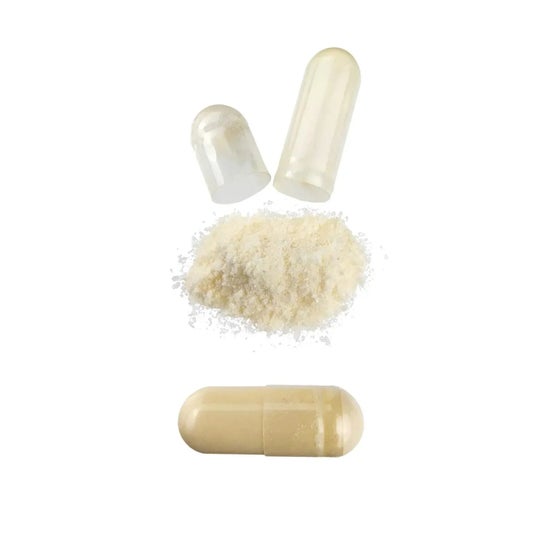HSN NAC N-Acetil-L-Cisteina 300mg 120vcaps