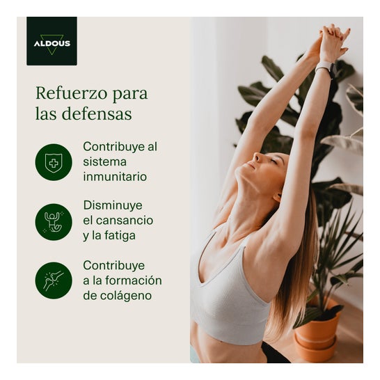 Aldous Vitamina C con Zinc y Coenzima Q10 400comp