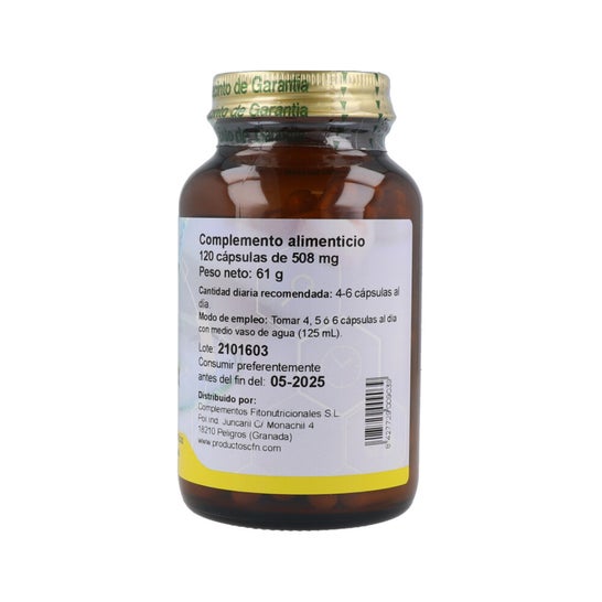 Cfn Enzym Complex 120 caps