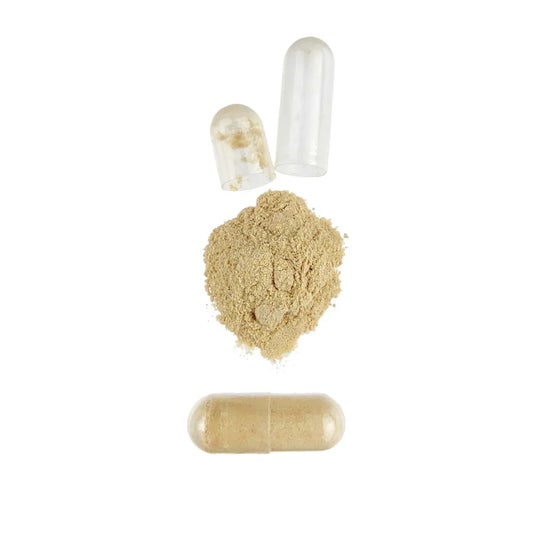 HSN Chitosán 500 mg 120 vcaps