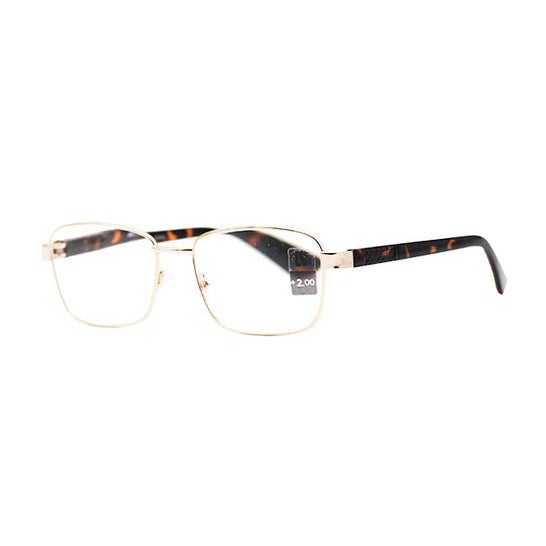 Loubsol Gafas Hombre Montand +1,5 1ud