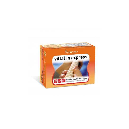 Plameca Vittal In Express 20x10 ml