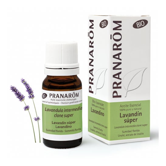 PranarÌm essential oil lavender super organic 10ml