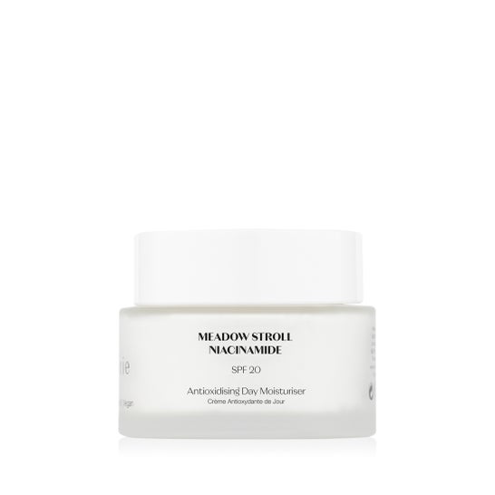 Flânerie Antioxidising Day Moisturiser Spf20 45ml