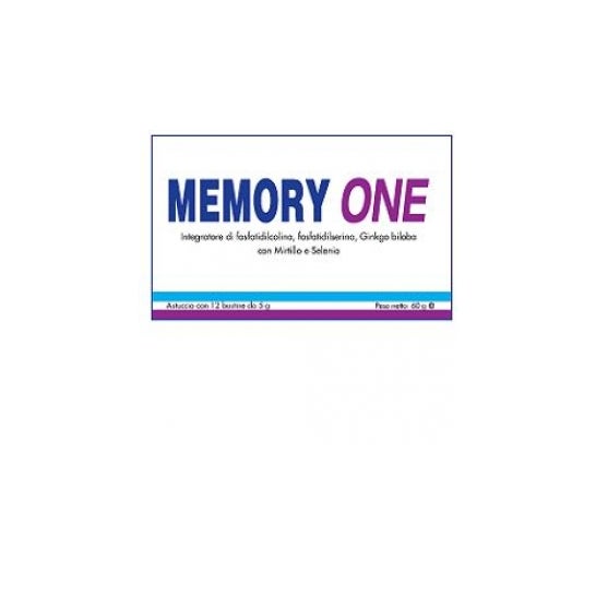 Memory One Integrat 12Bust 60G