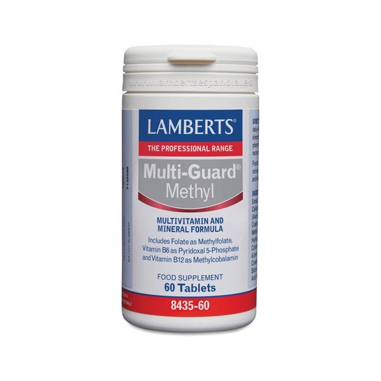 Lamberts Multi Guard Methyl 60 comp