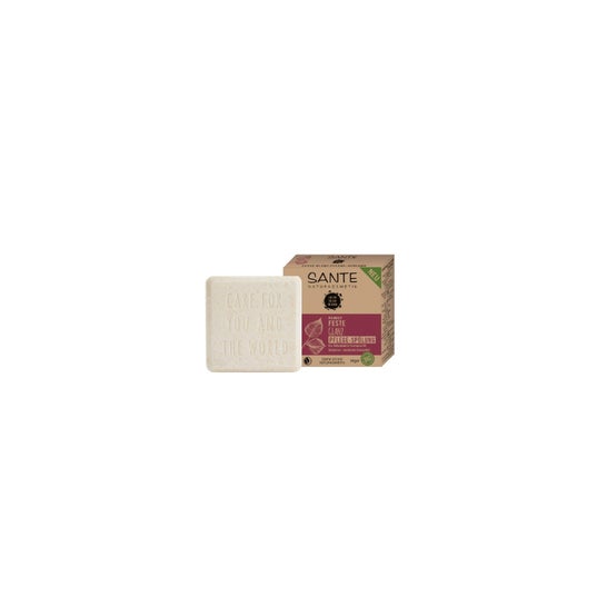 Sante Organic Birch & Vegetable Protein Solid Conditioner 60g