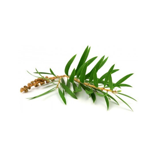 Aprolis Extracto 30ml