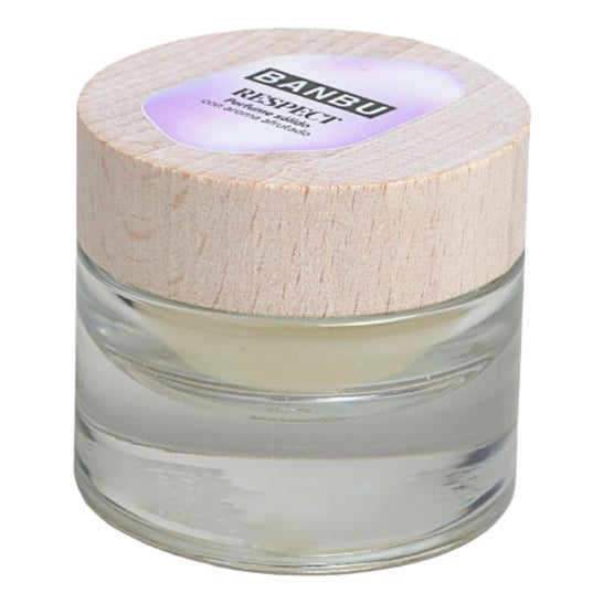 Banbu Respect Perfume Sólido Afrutado 15 ml