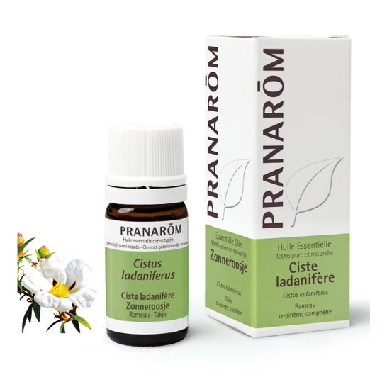 Pranarôm essencial Corsican labdanum oil 5ml