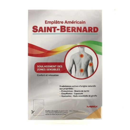 Saint-Bernard Amerikanische Leere 19cmx30cm