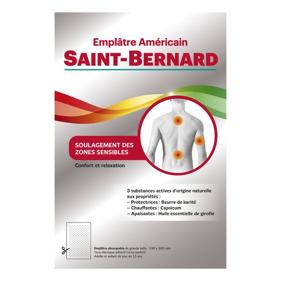 Saint-Bernard Yeso Americano 19cmx30cm