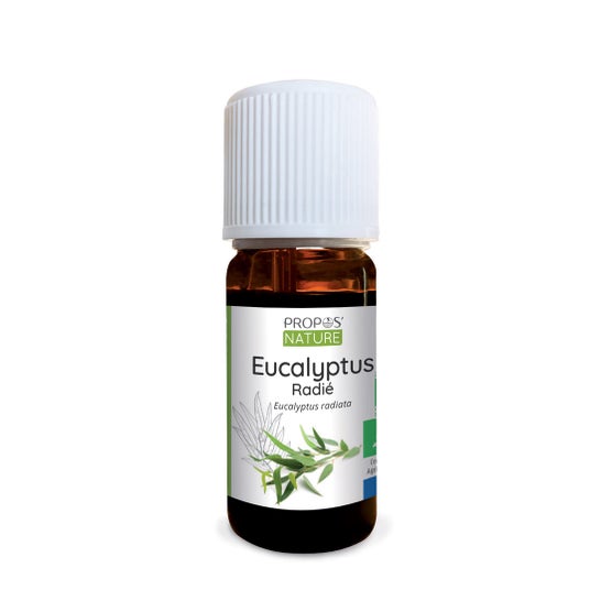 Propos Nature Bio Ätherisches Öl Eukalyptus Radiata 10ml