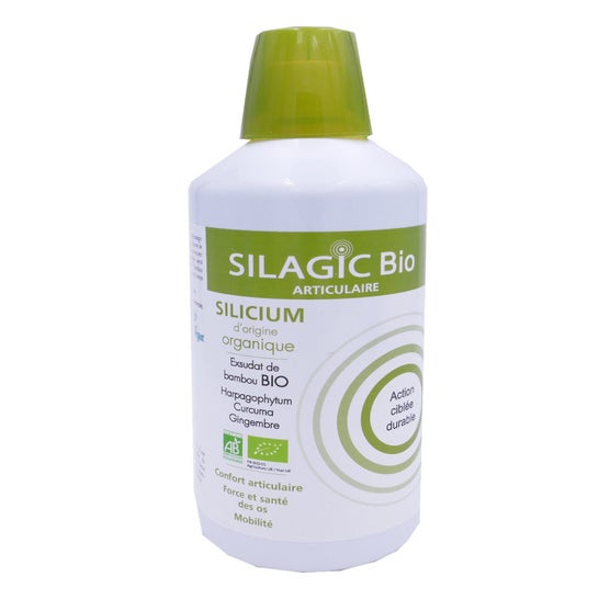 Silagic Bio Silicium Organic 1L