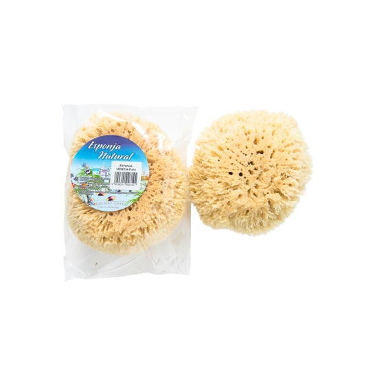 Koronis Venice Sponge