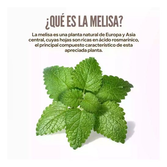 HSN Extracto de Melisa 15:1 500 mg 120 vcaps