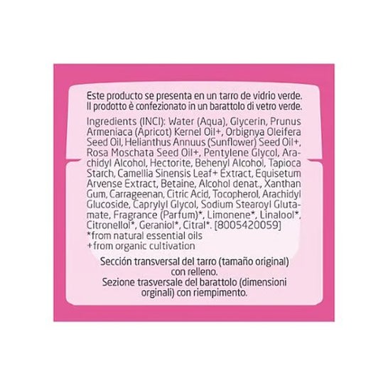 Weleda Crema de Día Alisante de Rosa Mosqueta y Té Blanco 40 ml