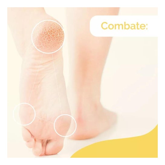 Scholl hardness cream feet 60ml Scholl hardness cream feet 60ml