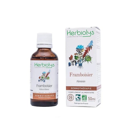 Herbiolys Bourg Framboisier Bio 50