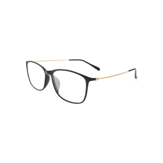 Nordic Vision Goggle Adult Black 2.0