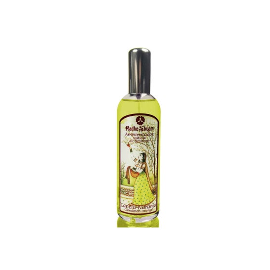 Radhe Shyam Lufterfrischer Cannellar-Orange Spray 100ml