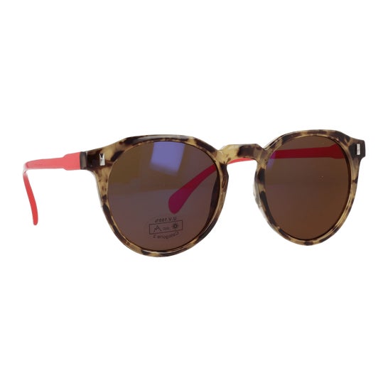 Cartel Paris Gafas Sol Baltimore 1ud