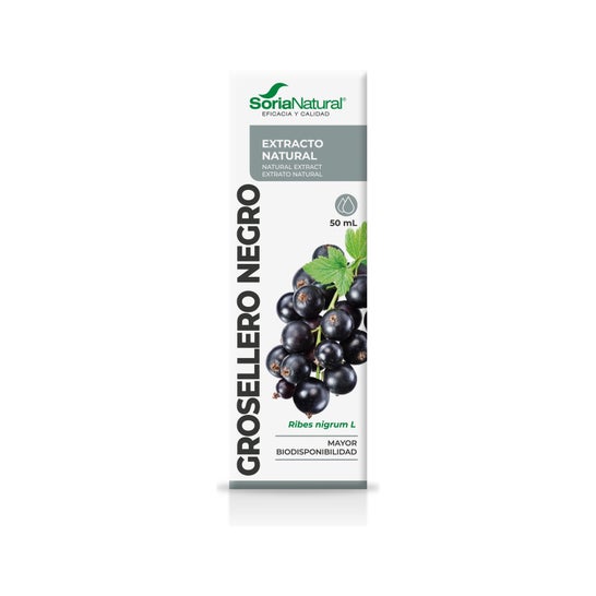 Extracto grosellero Negro Xxi 50 ml Sori